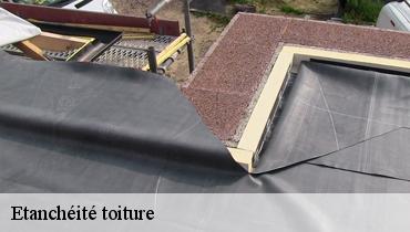 Etanchéité toiture Seine-Saint-Denis 