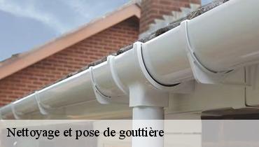 Nettoyage et pose de gouttière