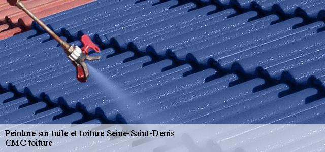 Peinture sur tuile et toiture 93 Seine-Saint-Denis  Artisan Zugetta