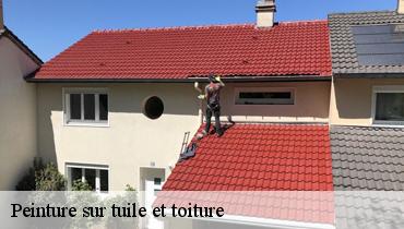 Peinture sur tuile et toiture Seine-Saint-Denis 