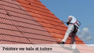 Peinture sur tuile et toiture Seine-Saint-Denis 