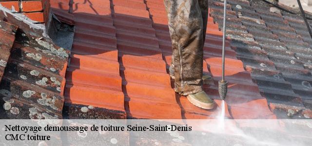 Nettoyage demoussage de toiture Seine-Saint-Denis 