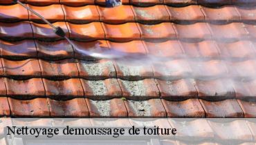 Nettoyage demoussage de toiture Seine-Saint-Denis 