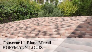 Couvreur Seine-Saint-Denis 