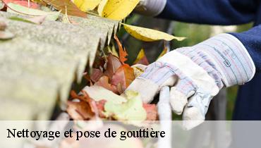Nettoyage et pose de gouttière  93360