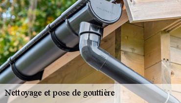 Nettoyage et pose de gouttière  93360