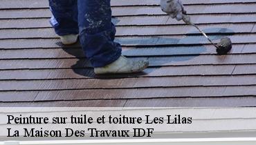 Peinture sur tuile et toiture  93260