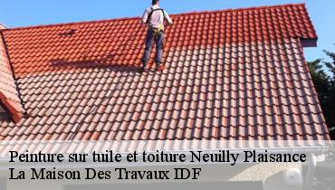 Peinture sur tuile et toiture  93360