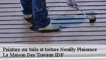 Peinture sur tuile et toiture  93360