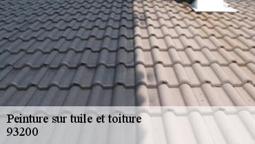 Peinture sur tuile et toiture  93200