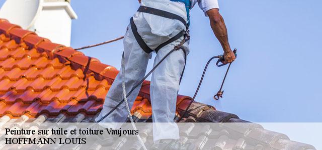 Couvreur Seine-Saint-Denis 