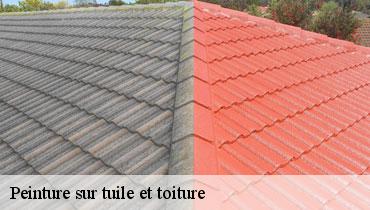 Couvreur Seine-Saint-Denis