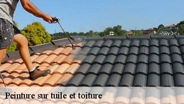 Peinture sur tuile et toiture