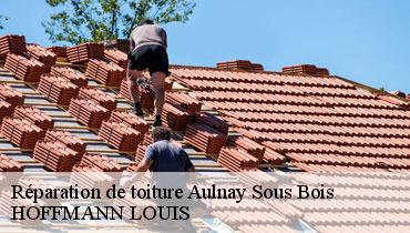 Couvreur Seine-Saint-Denis