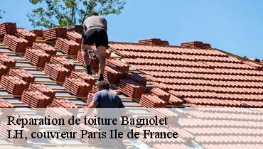 Couvreur Seine-Saint-Denis 