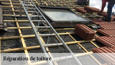 Couvreur Seine-Saint-Denis