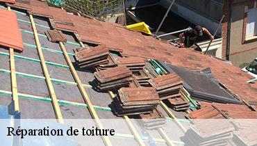 Réparation de toiture  93200