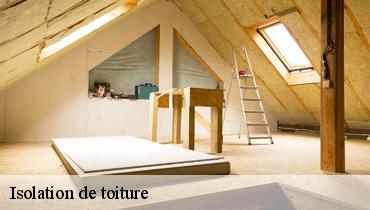 Isolation de toiture  93100