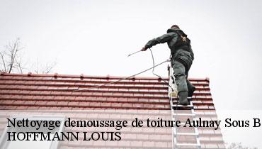 Couvreur Seine-Saint-Denis 