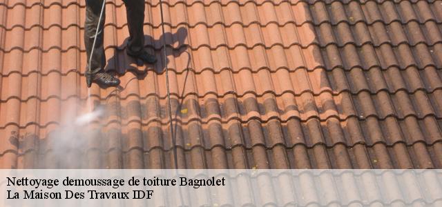 Nettoyage demoussage de toiture bagnolet-93170 Artisan Zugetta