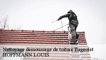 Couvreur Seine-Saint-Denis 