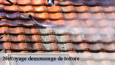 Couvreur Seine-Saint-Denis