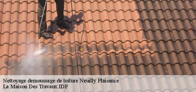 Nettoyage demoussage de toiture  93360