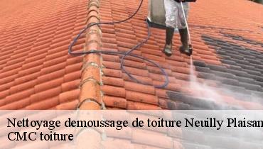 Nettoyage demoussage de toiture  93360