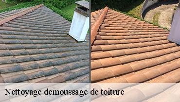 Nettoyage demoussage de toiture  93360