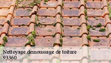 Nettoyage demoussage de toiture  93360
