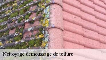 Nettoyage demoussage de toiture  93360