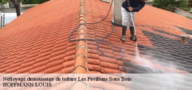 Couvreur Seine-Saint-Denis 