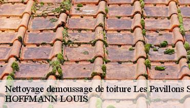 Couvreur Seine-Saint-Denis 