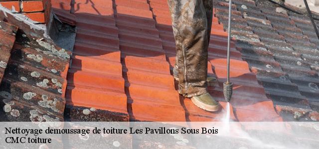 Nettoyage demoussage de toiture  les-pavillons-sous-bois-93320 Artisan Zugetta