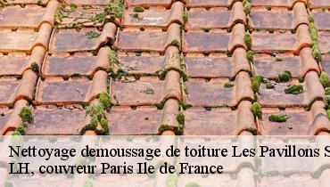 Couvreur Seine-Saint-Denis