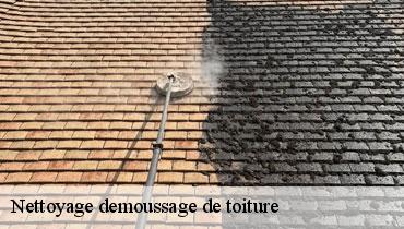 Couvreur Seine-Saint-Denis 