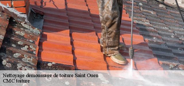Nettoyage demoussage de toiture  saint-ouen-93400 Artisan Zugetta