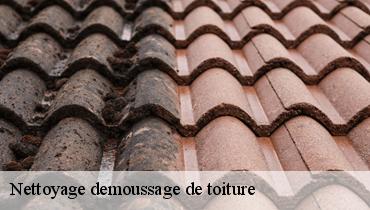 Nettoyage demoussage de toiture