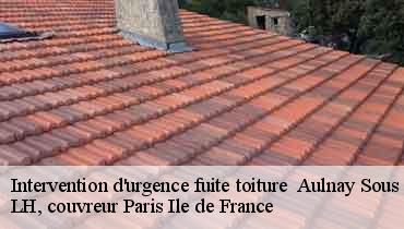 Couvreur Seine-Saint-Denis