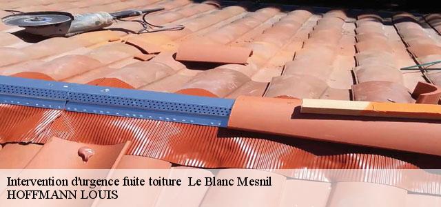 Couvreur Seine-Saint-Denis 