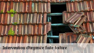 Couvreur Seine-Saint-Denis 