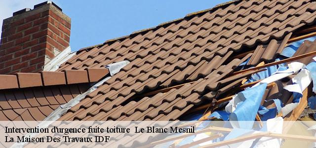 Intervention d'urgence fuite toiture   93150