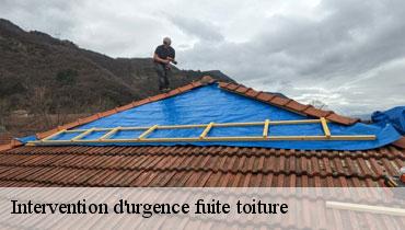 Couvreur Seine-Saint-Denis