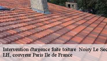 Couvreur Seine-Saint-Denis