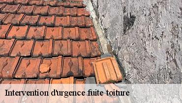 Intervention d'urgence fuite toiture   93210